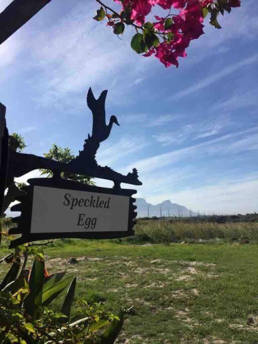 Appartement The Speckled Egg, 4 Promenade Rd, Lakeside, *
